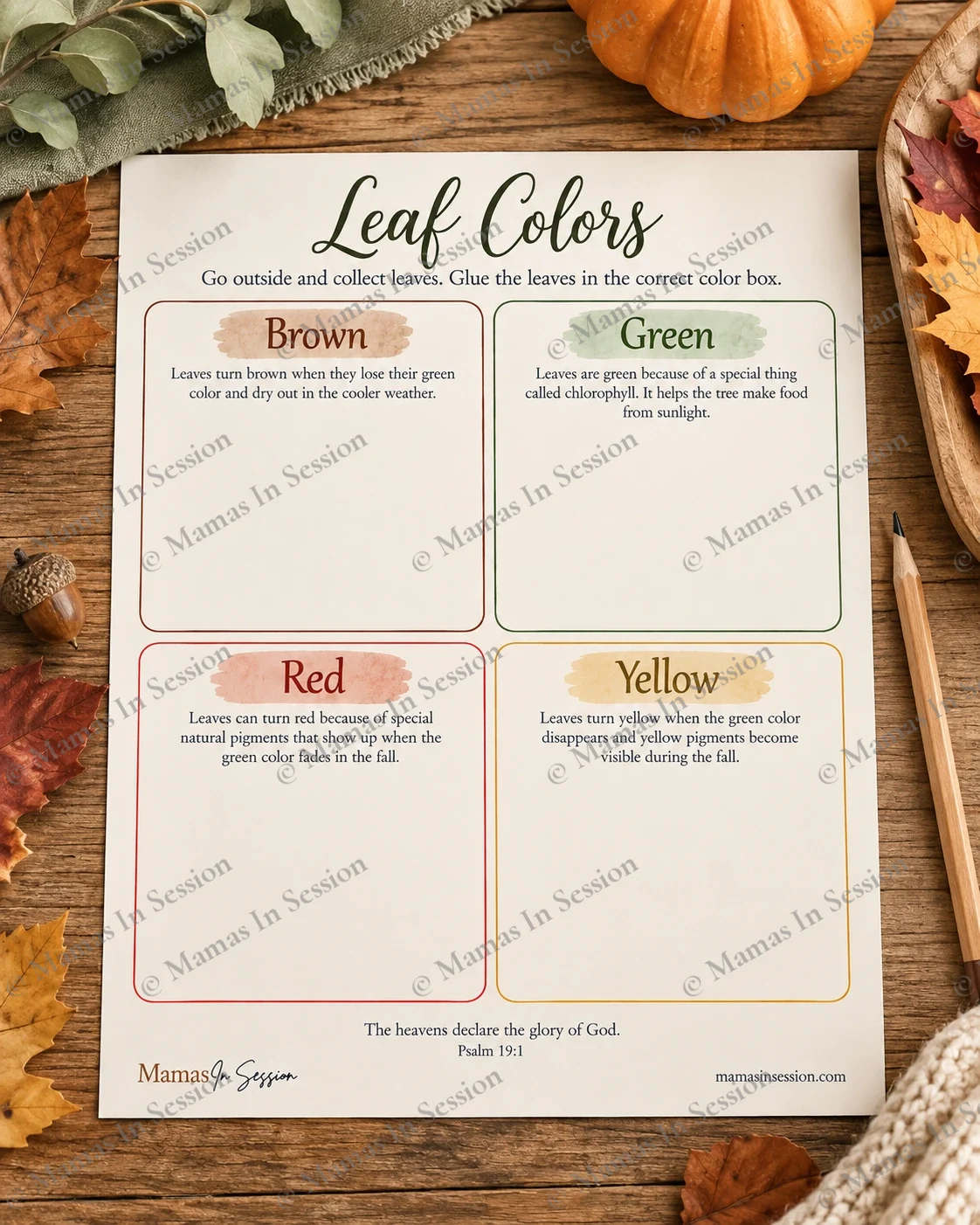 Leaf Colors | Fall Nature Sorting Activity for Kids