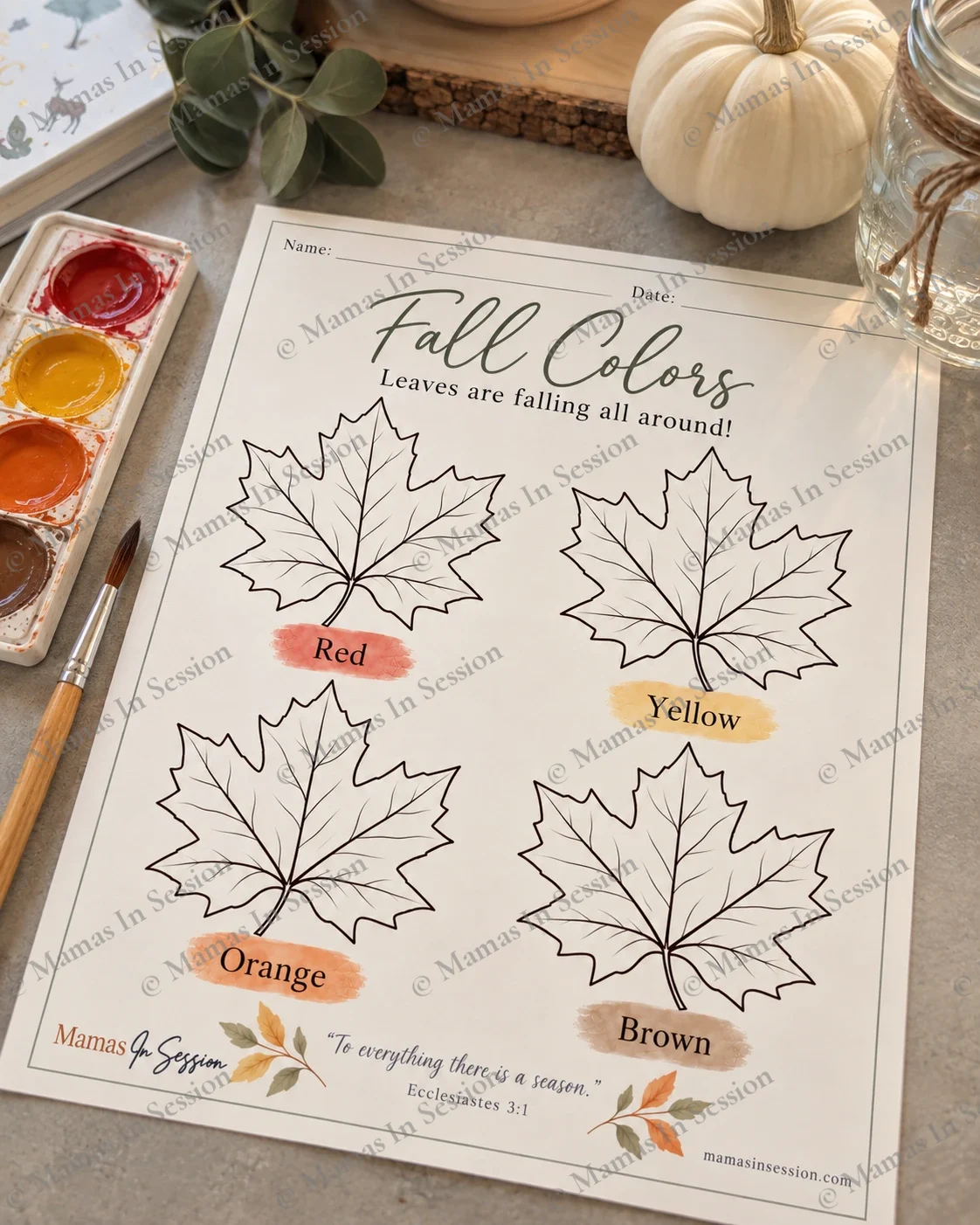 Fall Colors: Leaves Are Falling All Around