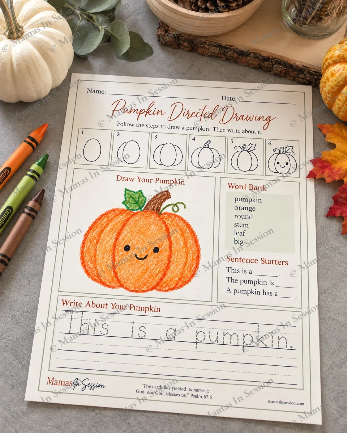 Pumpkin Directed Drawing