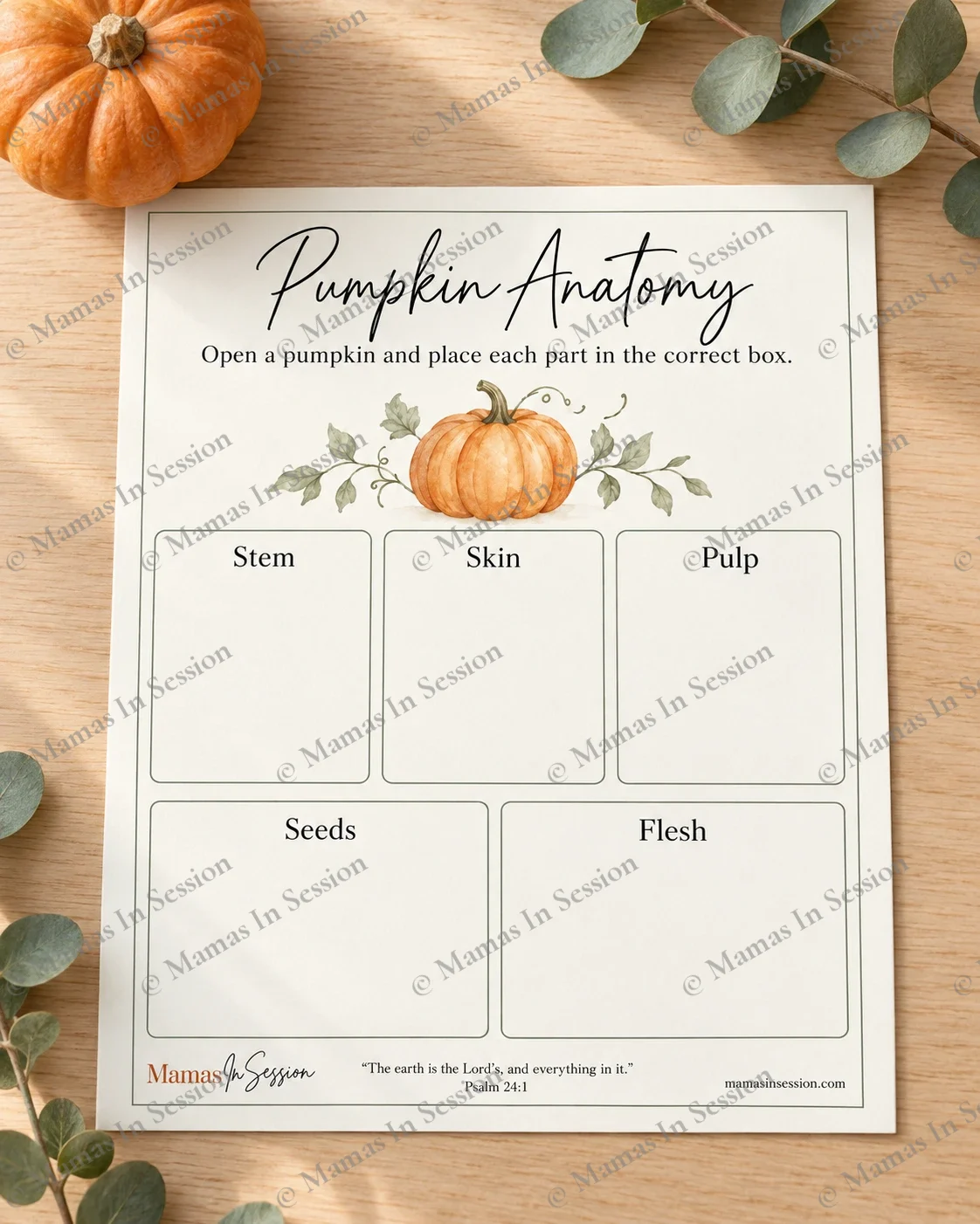 Pumpkin Anatomy Dissection | Hands-On Fall Science Worksheet