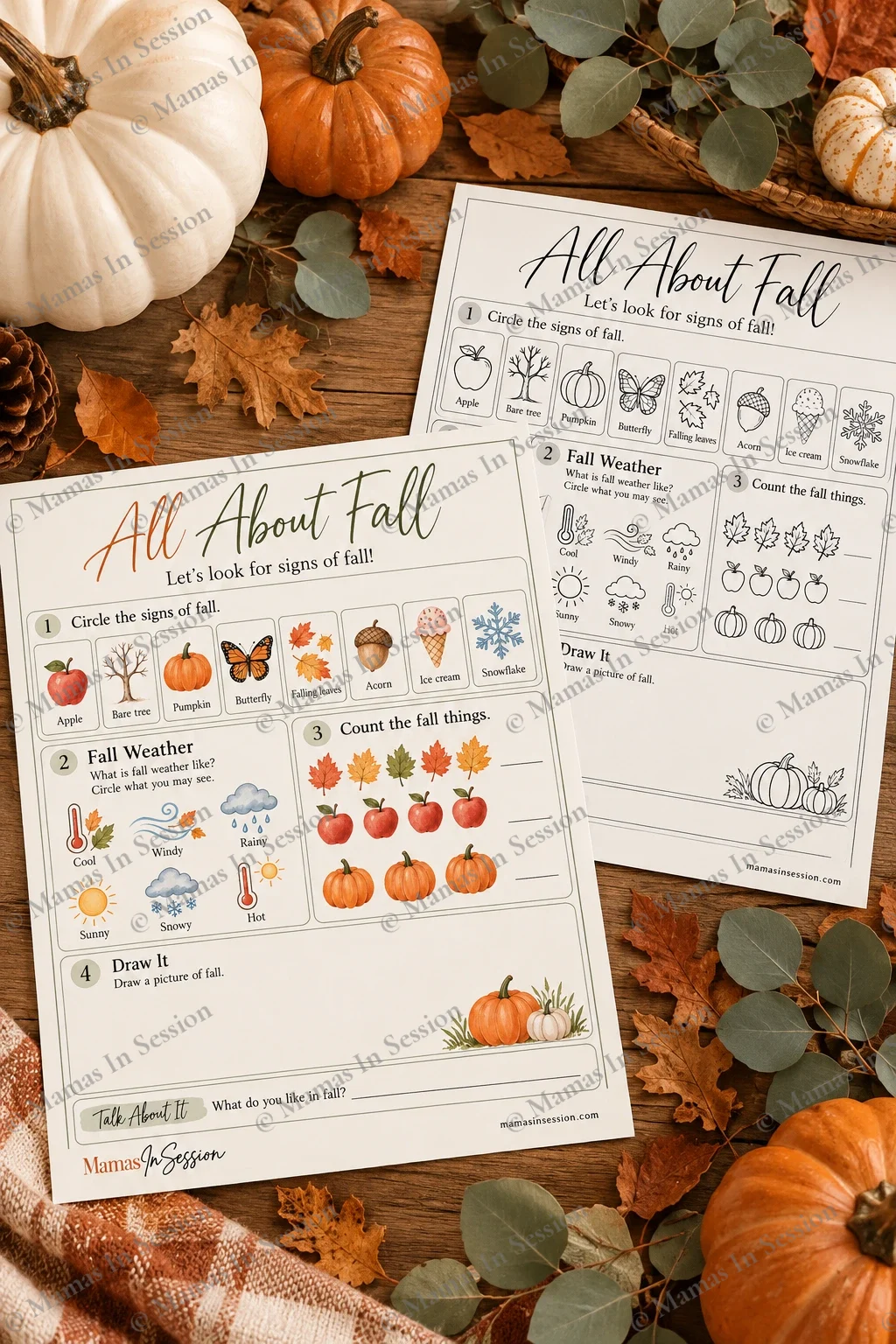 All About Fall